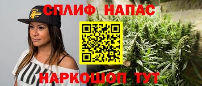 спайс Малгобек
