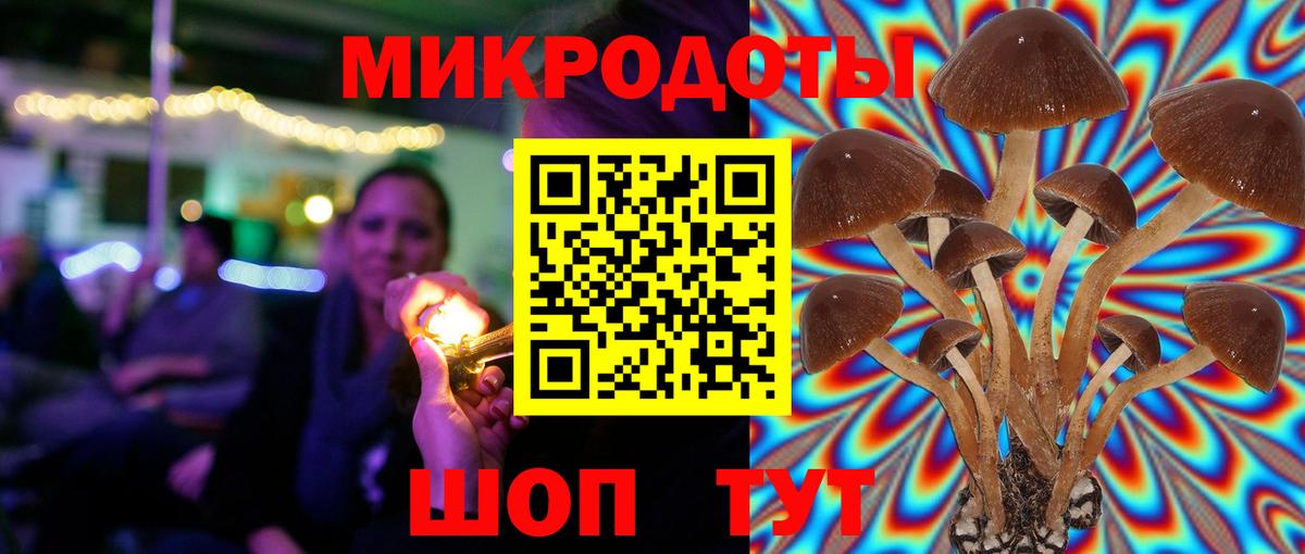 Псилоцибиновые грибы ЛСД Будённовск
